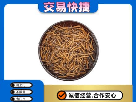 大庆高价回收散虫草